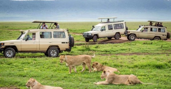 Kenya Migration Lodge  Safari