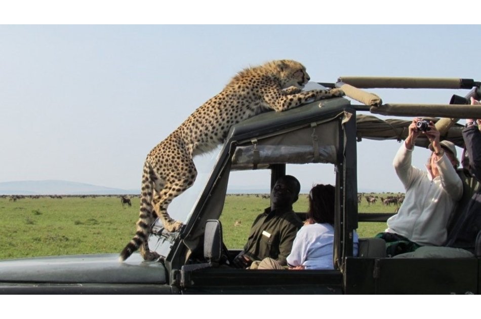 Kenya Wildlife Weekender Tour