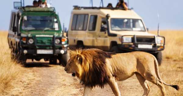 Kenya Wildlife Weekender Tour