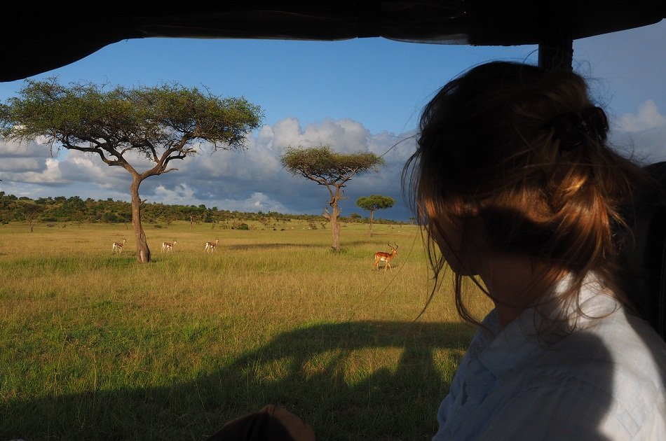 Nairobi National Park & Elephant Orphanage Day Trip