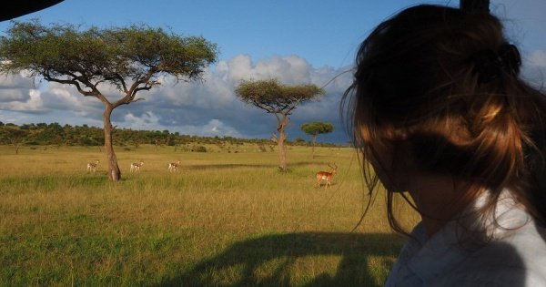 Nairobi National Park & Elephant Orphanage Day Trip