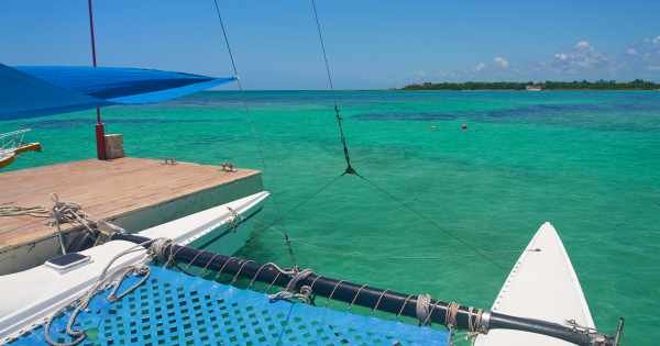 4 Hour Private Catamaran SB Tour ( up to 45 people)