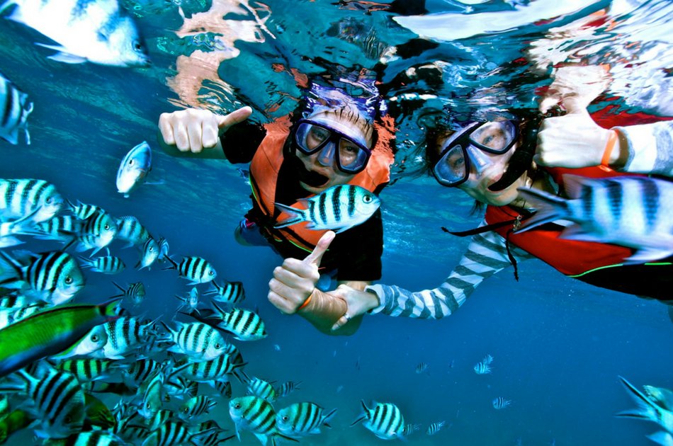 4 Hour Private Neptuno Trimaran (up to 60 people)