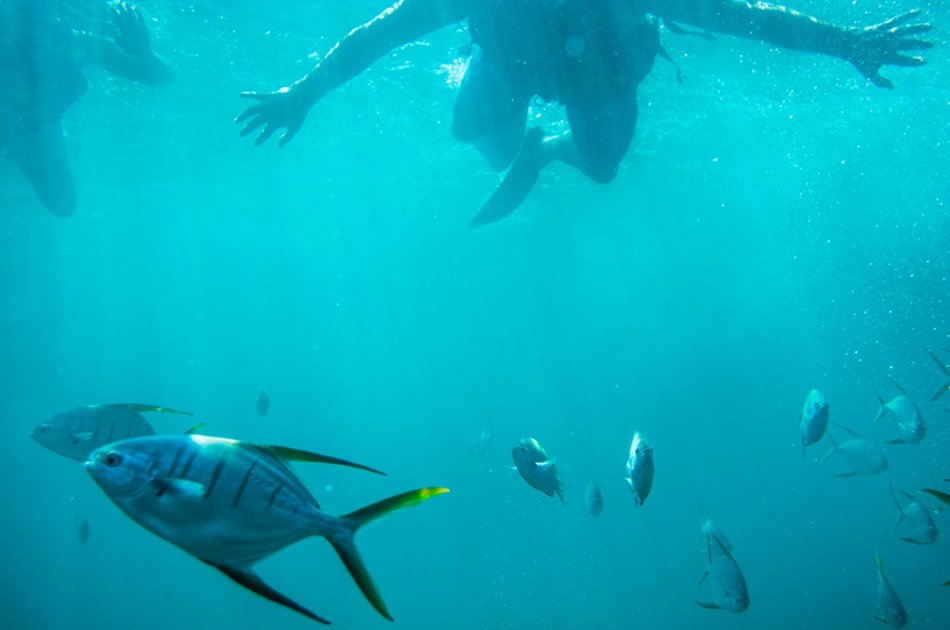 Cabo Glass Bottom Kayak and Snorkel Tour at the Arch