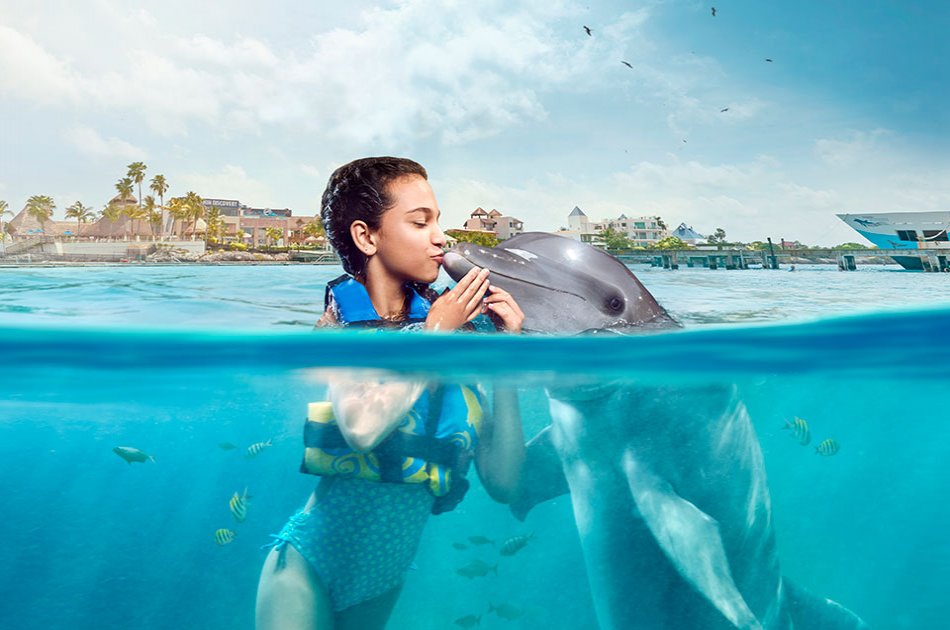 Dolphin Encounter in Isla Mujeres