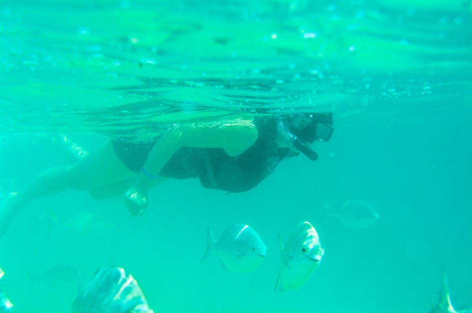 Guided Snorkel Tour of Los Cabos