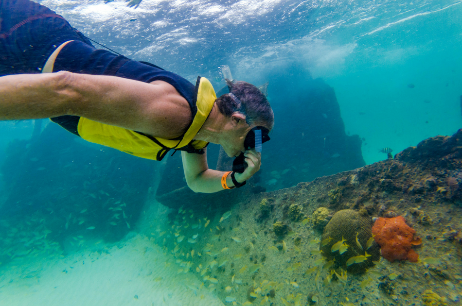 Snorkel and Swim With Turtles, A Fun Way to Discover 4 Areas of Cancun!