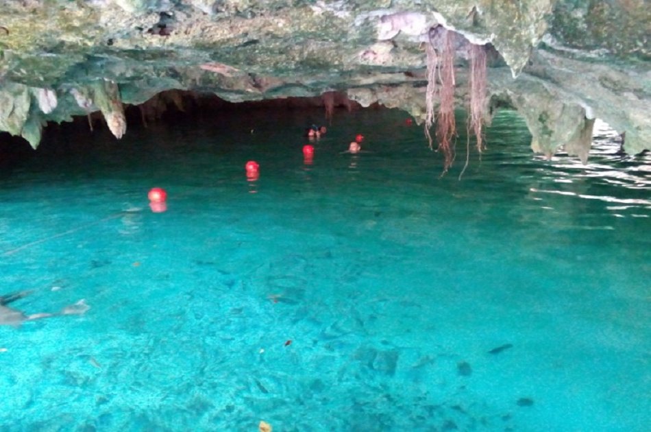 Tulum, Cenotes & Playa del Carmen 1 Day VIP Private Tour from Cancun/ Riviera Maya
