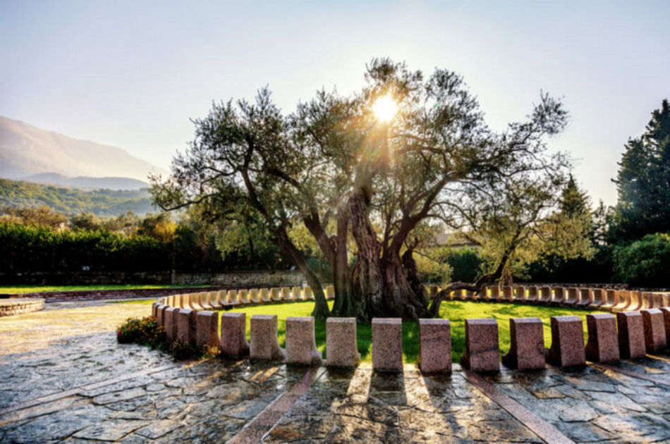 8 Day Montenegro Active Tour