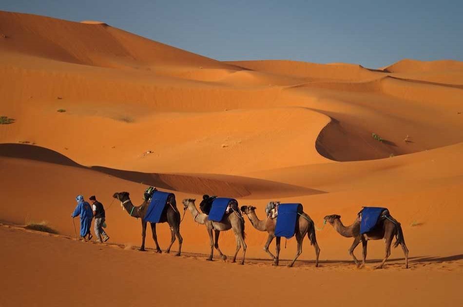 2 Days Desert Tour From Fez With Camel Ride and Overnight in Desert Camp