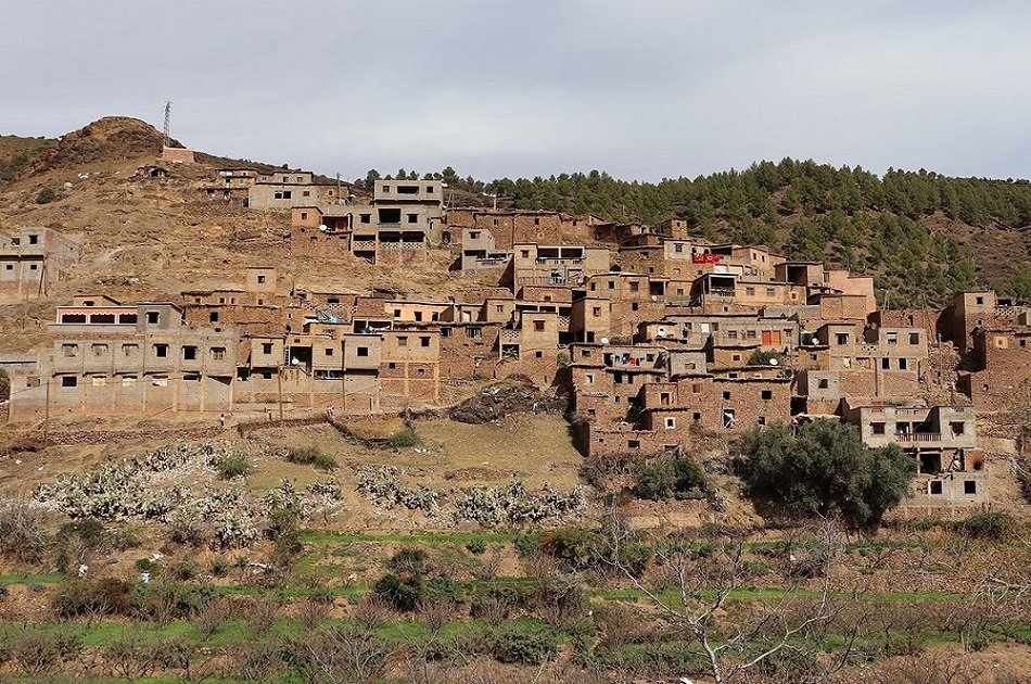 Atlas Mountains and Desert Agafay Private Day Trip