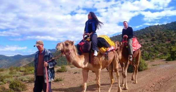 Day Trip to Atlas Mountains & 3 Valleys from Marrakech with Lunch & Camel Ride