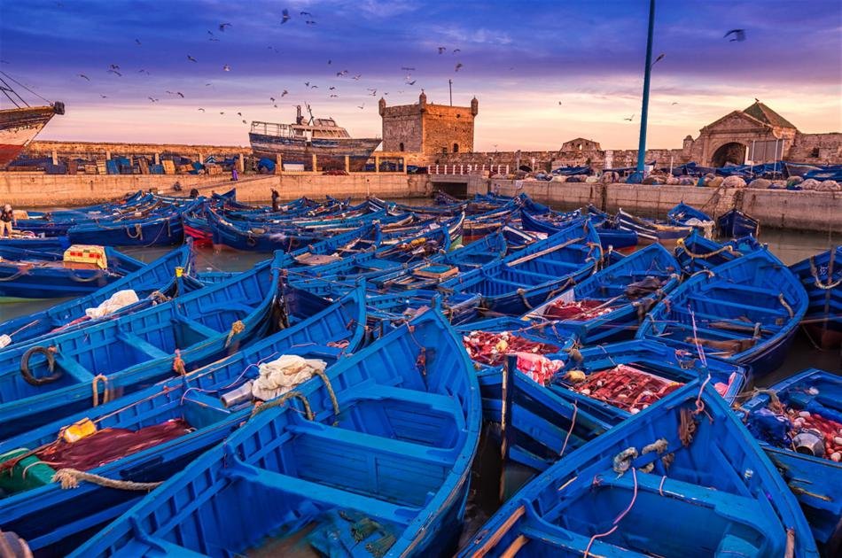 Private Day Trip from Marrakech to Essaouira With Lunch