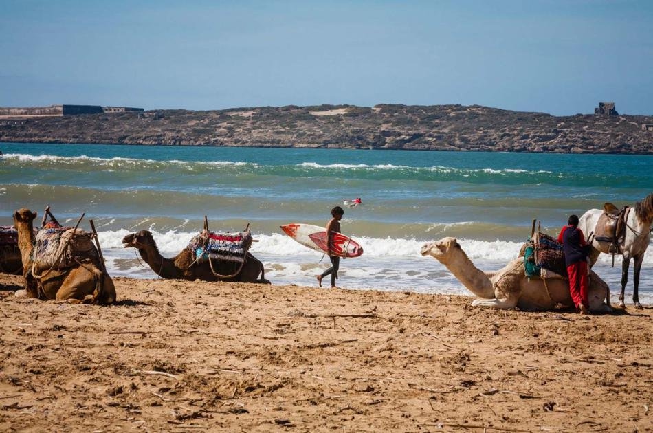 Private Day Trip from Marrakech to Essaouira With Lunch