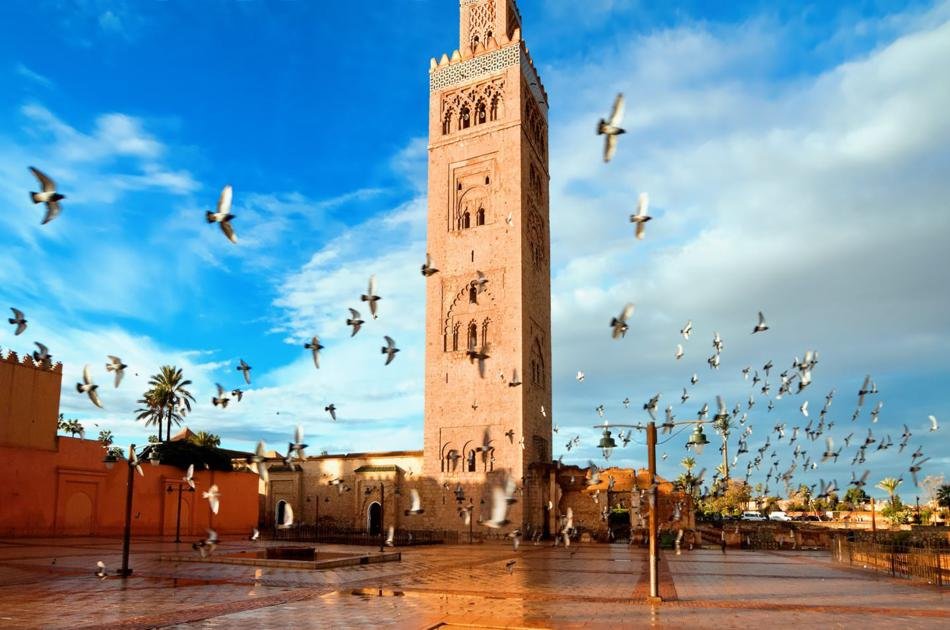 Private Marrakech Walking Half Day City Tour