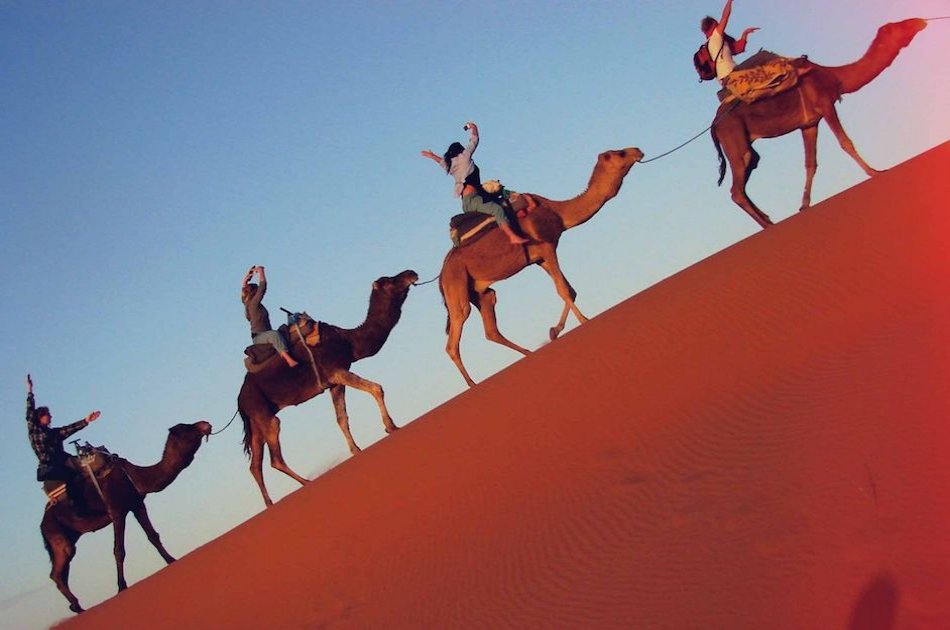Sahara, Camels and Atlas Mountains private Tour from Marrakech in 3 Days