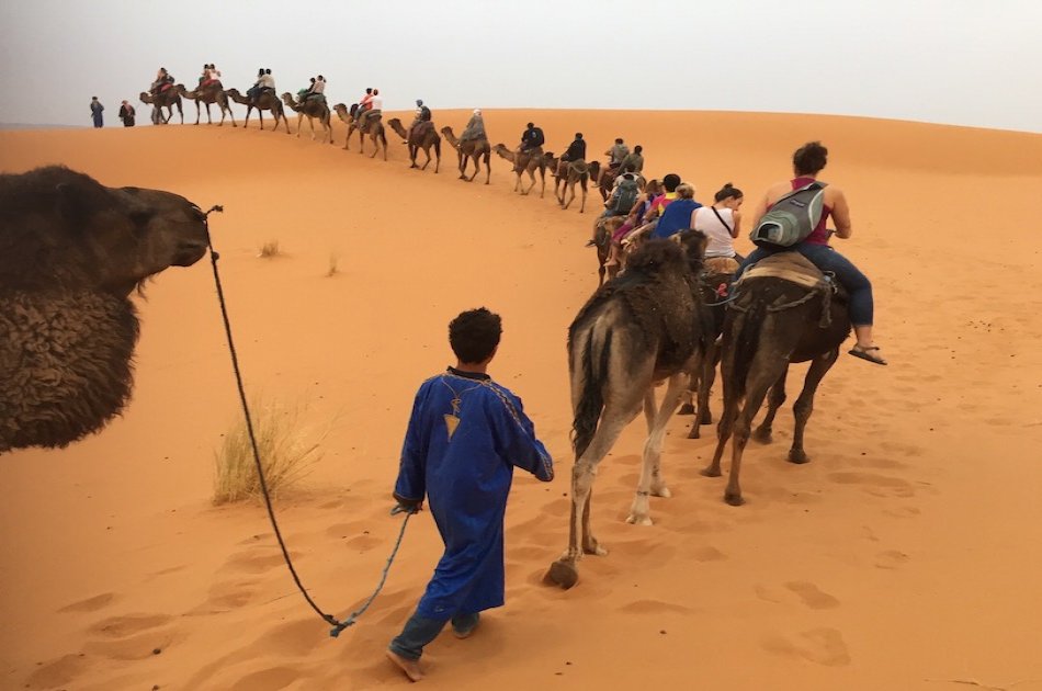 Sahara, Camels and Atlas Mountains private Tour from Marrakech in 3 Days
