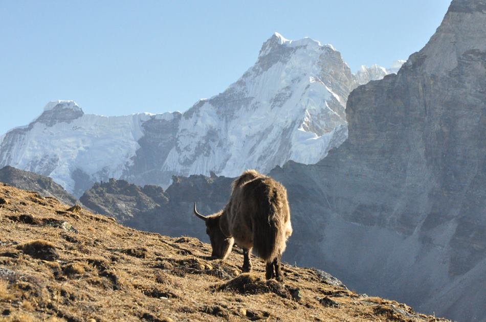 14 Day Everest Base Camp Trek