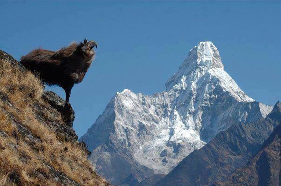 17 Day Everest Base Camp Trek with Gokyo Ri,Cho La Pass & Kalapatthar