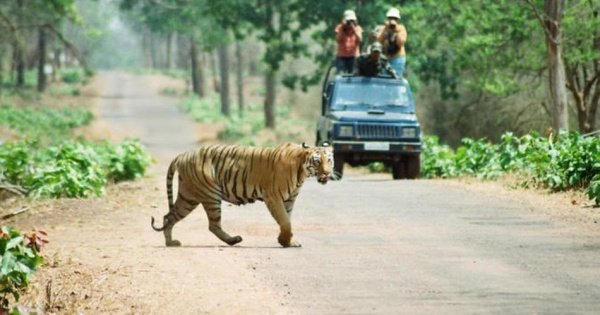 2 Nights 3 Days Chitwan National Park Safari Tour