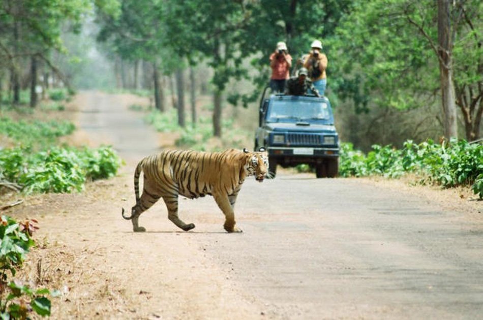2 Nights 3 Days Chitwan National Park Safari Tour