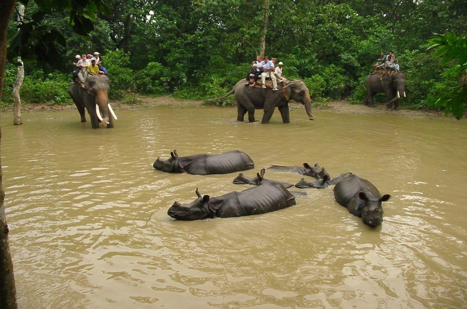 2 Nights 3 Days Chitwan National Park Safari Tour