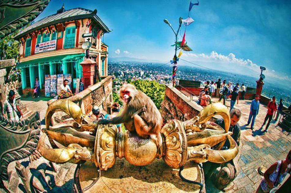 Full Day Kathamndu City, Swayambhunath and Patan Tour