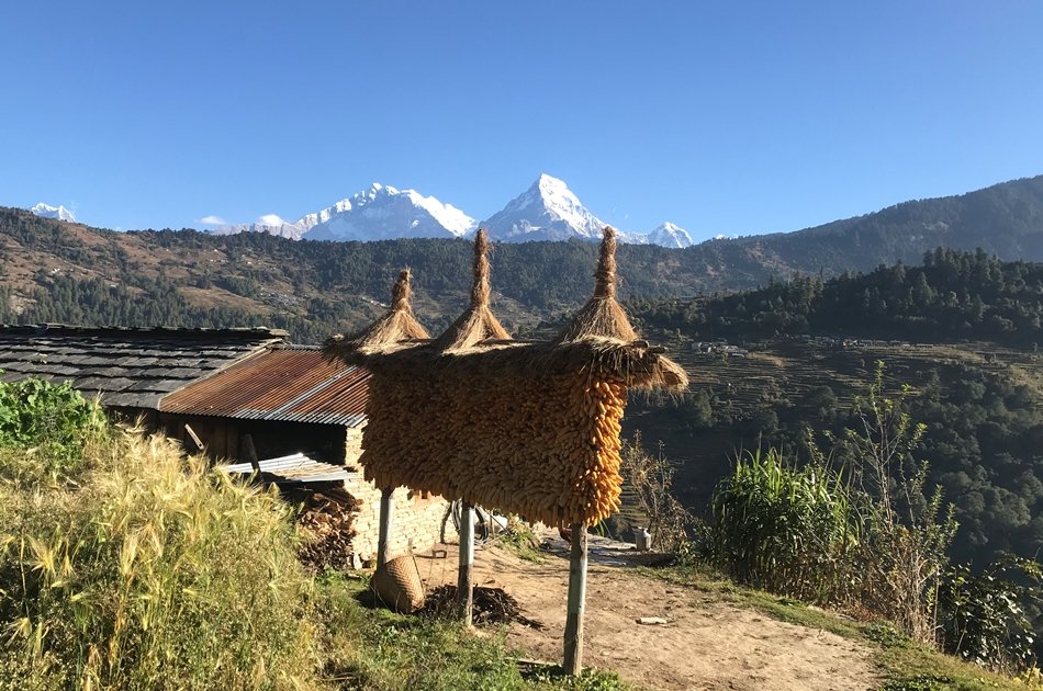 Khopra Ridge Trek (South of Annapurnas), 14 Days