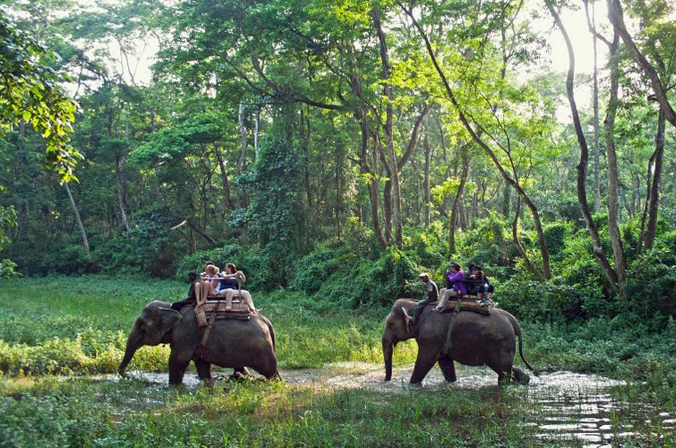 Luxurious Kathmandu, Chitwan and Pokhara tour