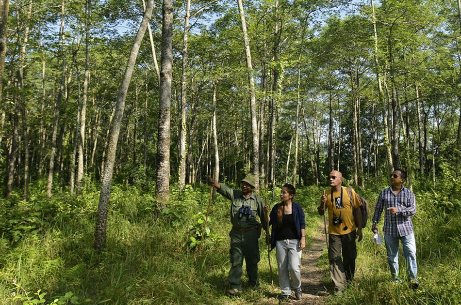 Luxurious Kathmandu, Chitwan and Pokhara tour