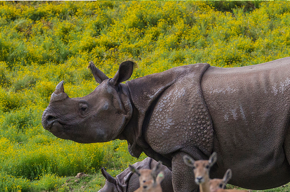 Nepal 7 day Adventure and Sightseeing Tour