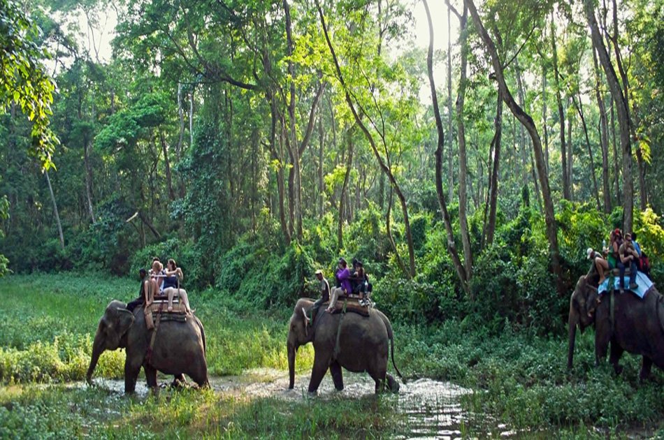Nepal at a Glance 11 Day Tour