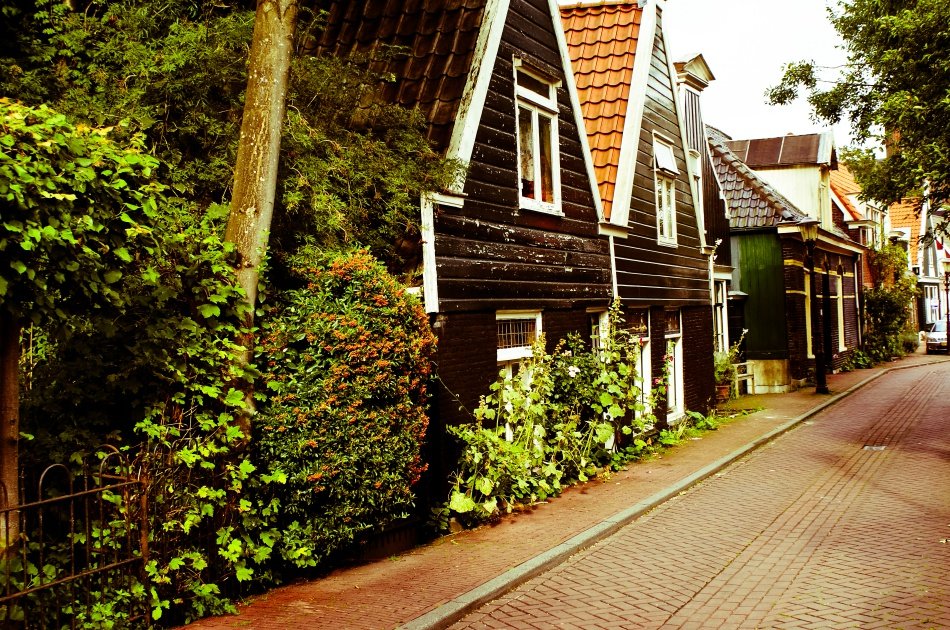 Amsterdam Countryside Private Tour: Edam, Volendam, Marken and Zaanse Schans