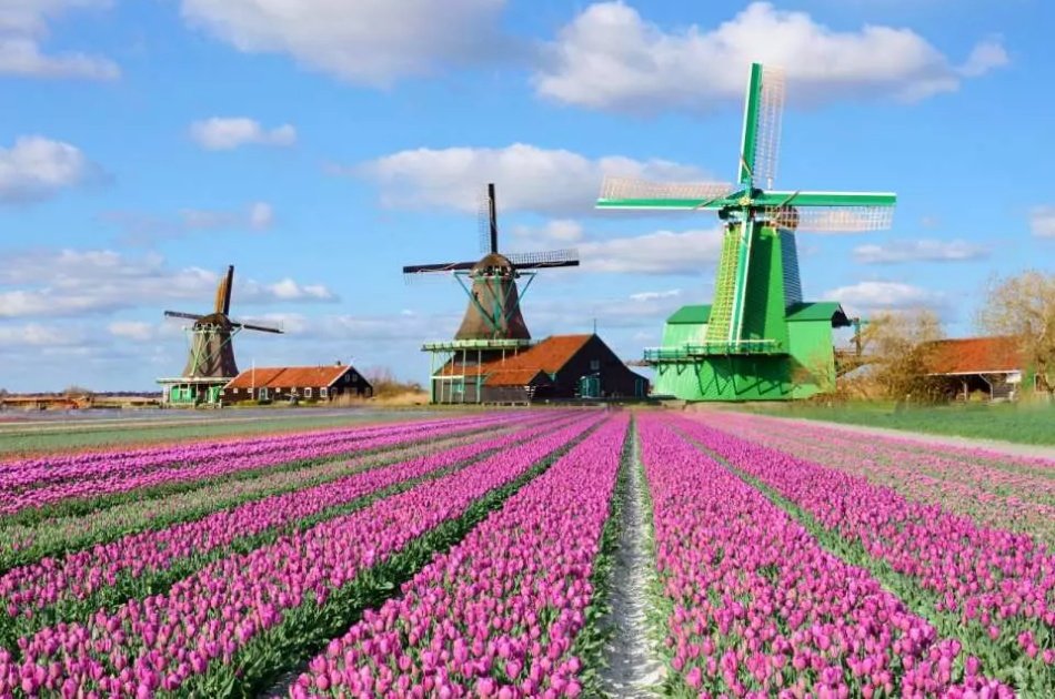 Discover Zaanse Schans With This Sightseeing Big Bus Tour