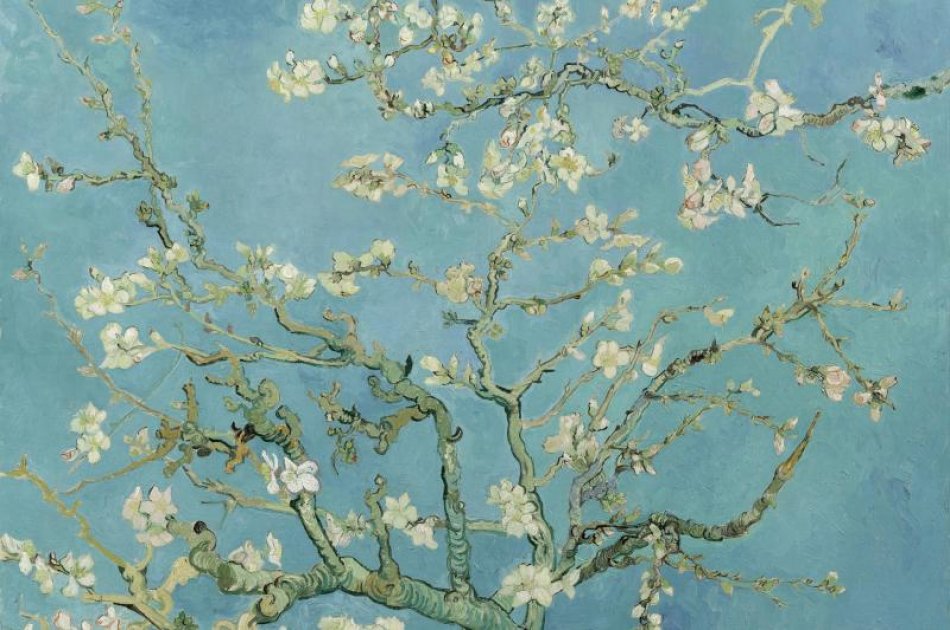 Enjoy A City Canal Cruise  With A Snack Box & Van Gogh Museum