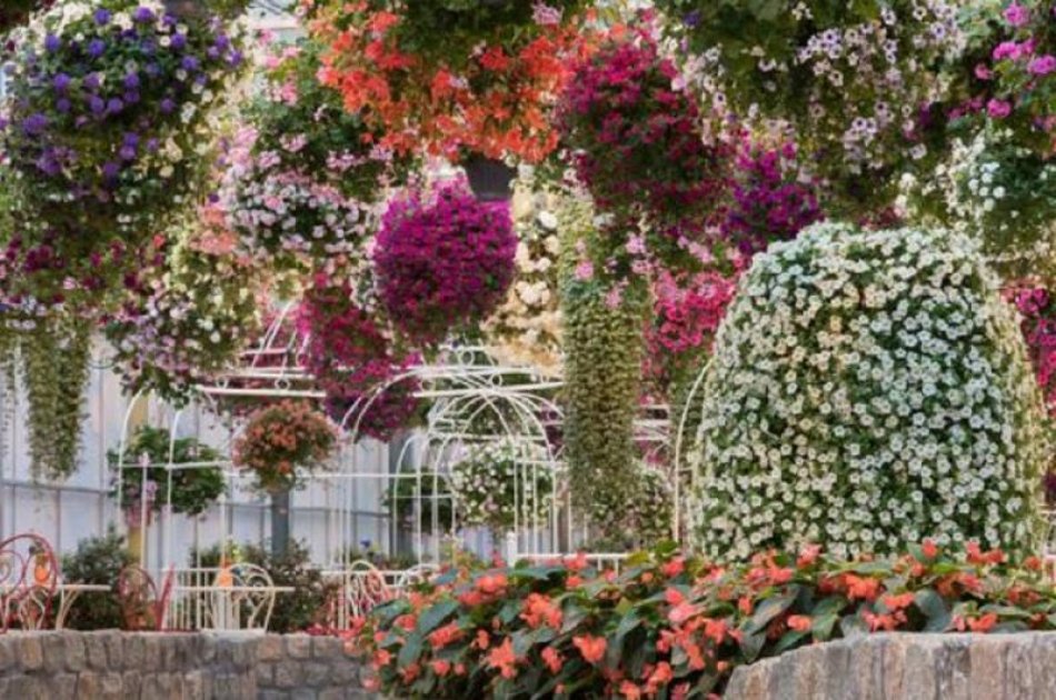 Enjoy A Small Group Day Excursion To Schokland