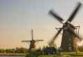 Explore UNESCO’S Kinderdijk In 1 Day - Small Group