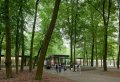 Fun Filled Day At Kröller Müller & Hoge Veluwe National Park - Small Group 