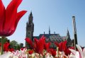 Unforgettable Day Trip To Rotterdam, Delft & The Hague - Private