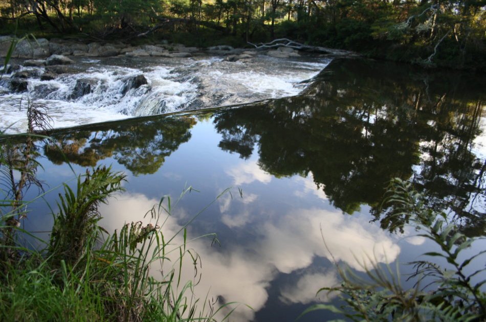 Half Day Bay of Islands Private Tour – Paihia & Kerikeri