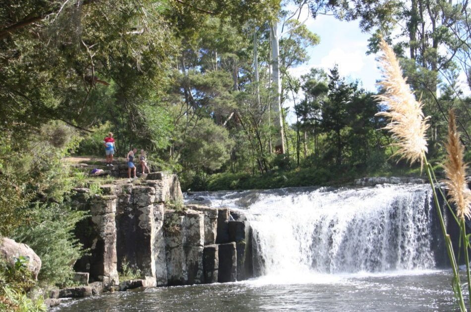 Half Day Bay of Islands Private Tour – Paihia & Kerikeri