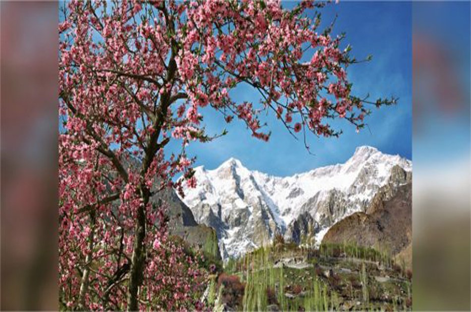 07 Day Apricot/Cherry Blossom Tour From Islamabad