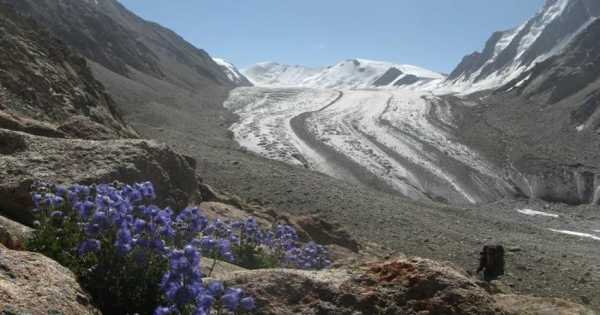 16 Days Battura Glacier Trek Passu Gojal Hunza Pakistan Asia