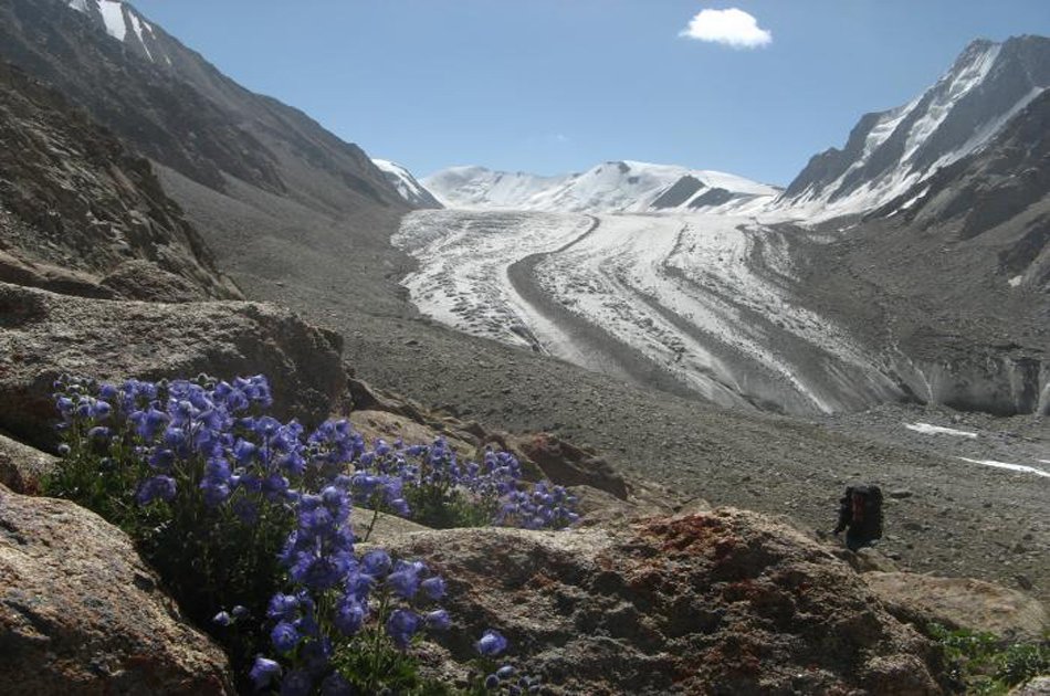 16 Days Battura Glacier Trek Passu Gojal Hunza Pakistan Asia