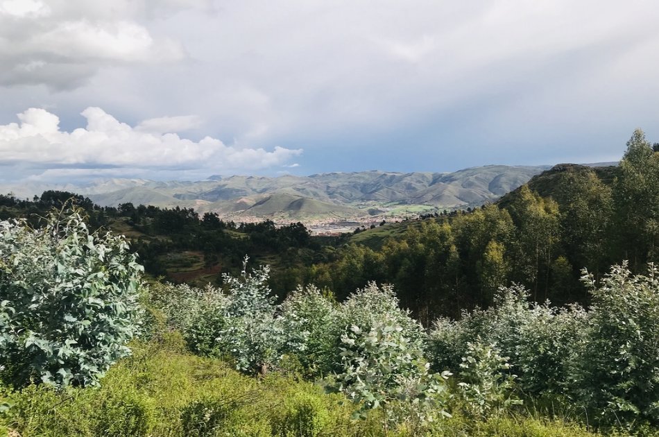 Full Day Andean Plant Teacher Tour