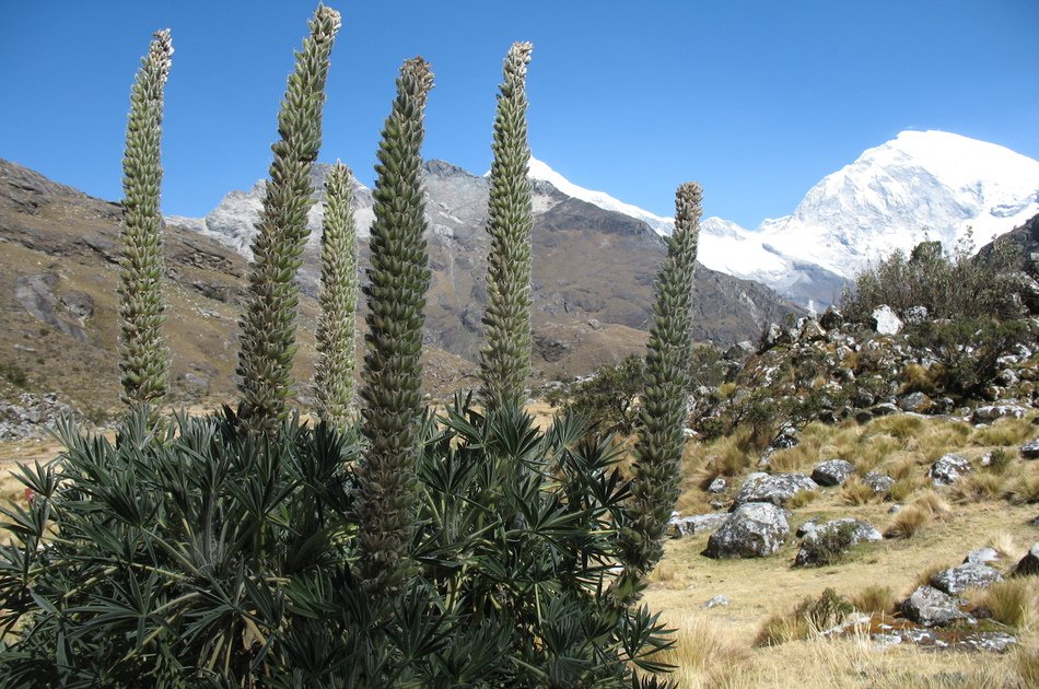 Lake 69 And The Cordillera Blanca Group Tour From Huaraz