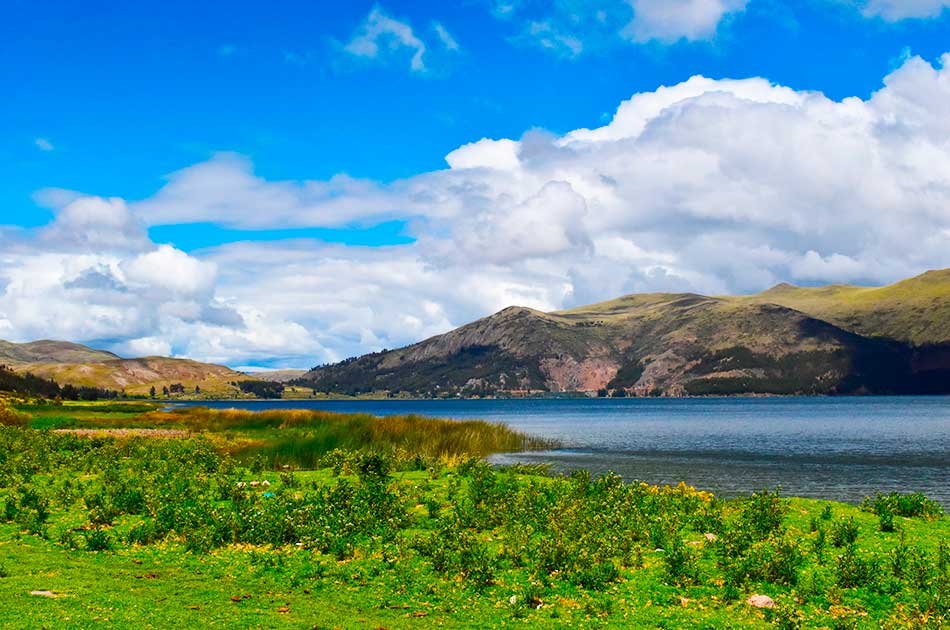 Qeswachaka Bridge - Private 1 day Tour
