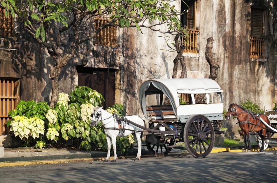 Explore Manila on a Private City Tour Shore Excursion