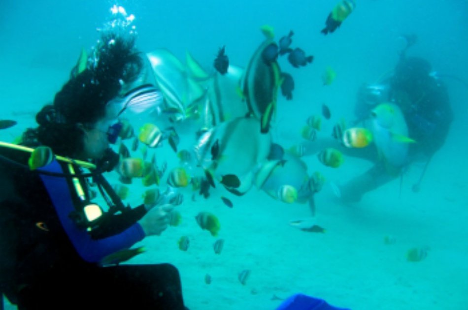 Puerto Galera Scuba Diving for Beginners