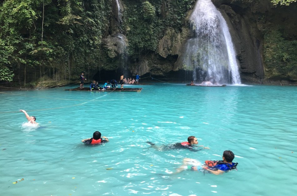 Whaleshark Private Interaction with Kawasan Falls from Cebu City